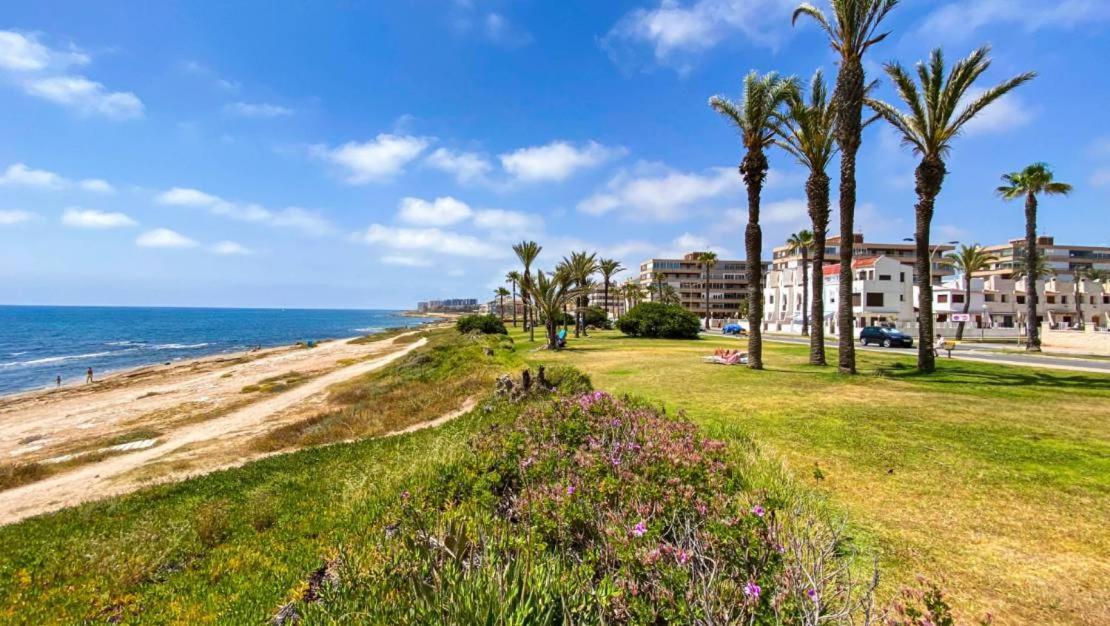 Apartamento Villa Amalia Torrevieja Exteriör bild