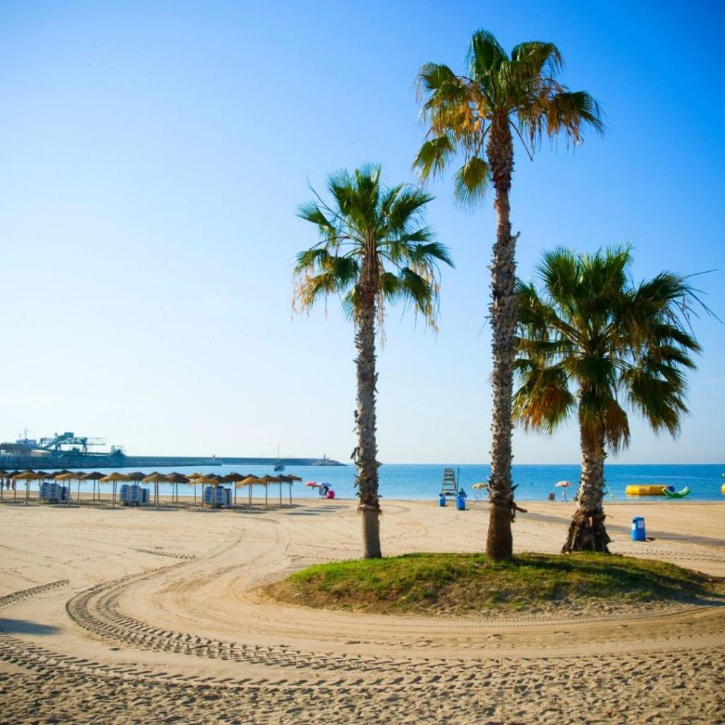 Apartamento Villa Amalia Torrevieja Exteriör bild