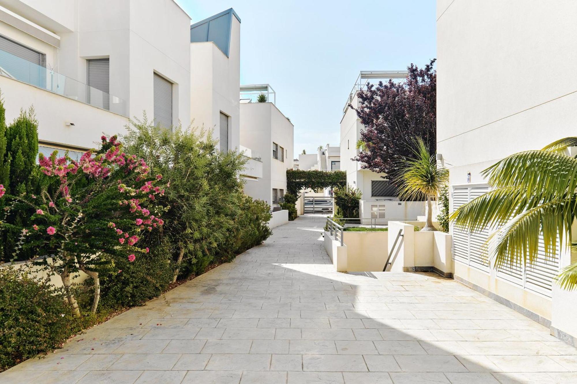 Apartamento Villa Amalia Torrevieja Exteriör bild