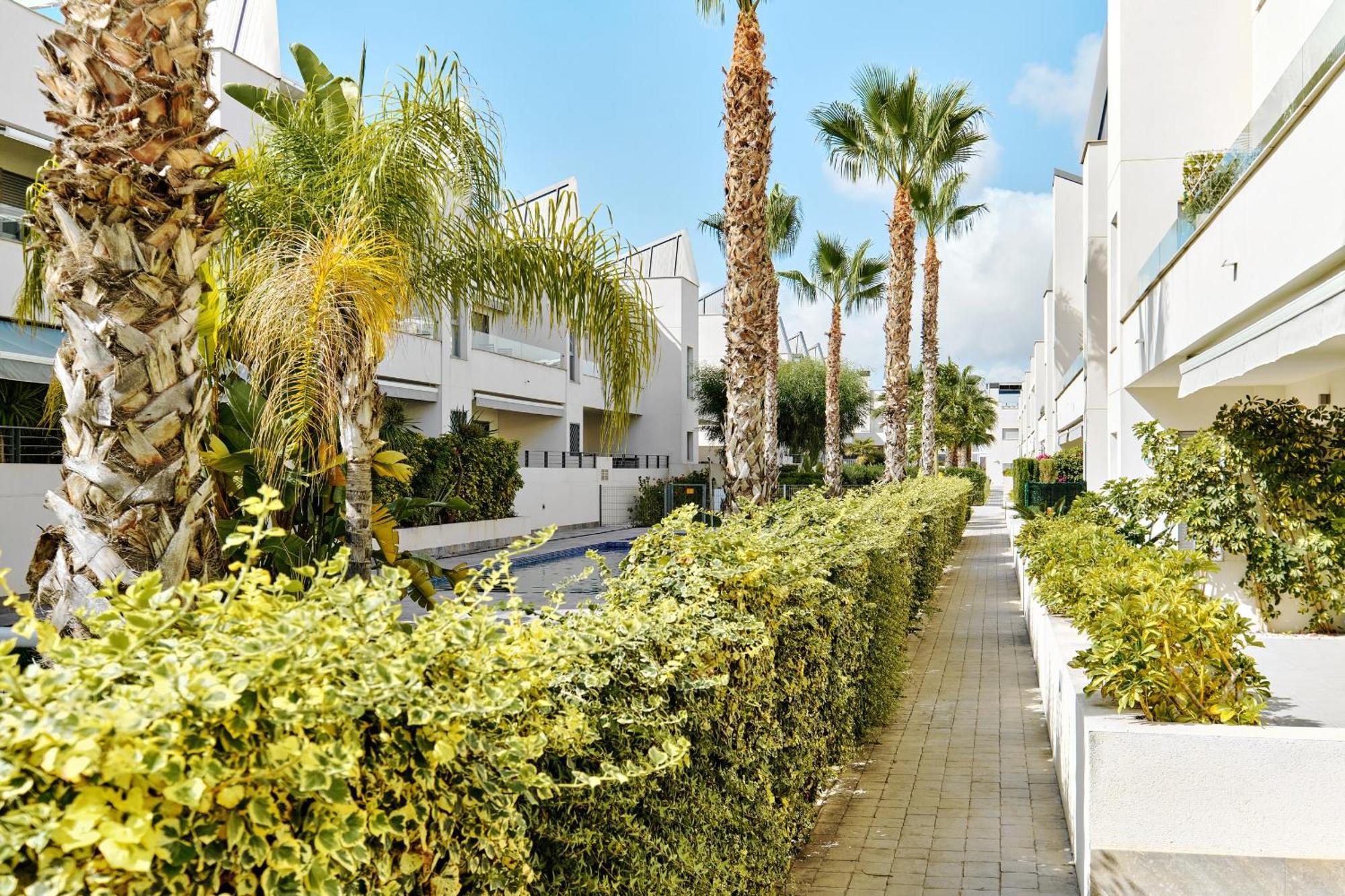 Apartamento Villa Amalia Torrevieja Exteriör bild